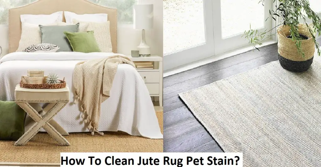 How To Clean Jute Rug Pet Stain?