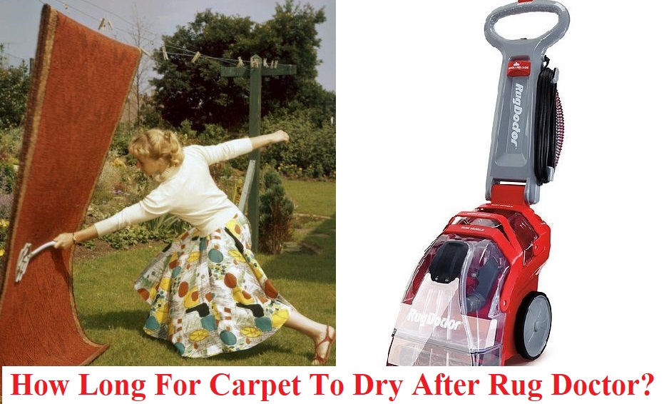 How Long For Carpet To Dry After Rug Doctor?