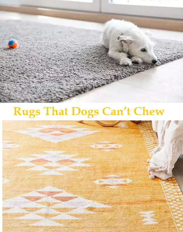 Rugs That Dogs Can’t Chew
