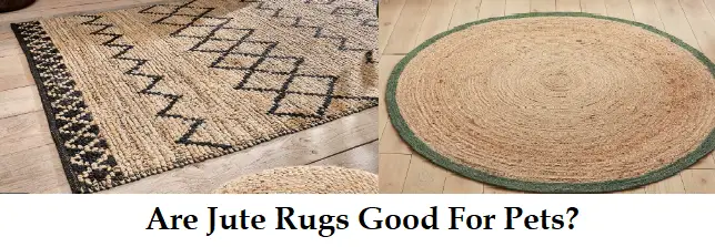 Are Jute Rugs Good For Pets?