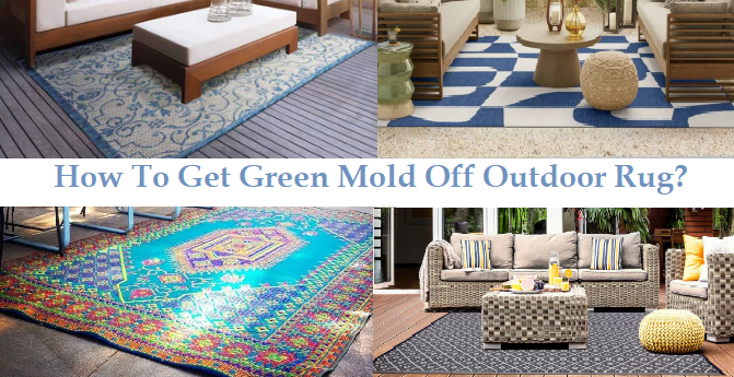 How To Get Green Mold Off Outdoor Rug?