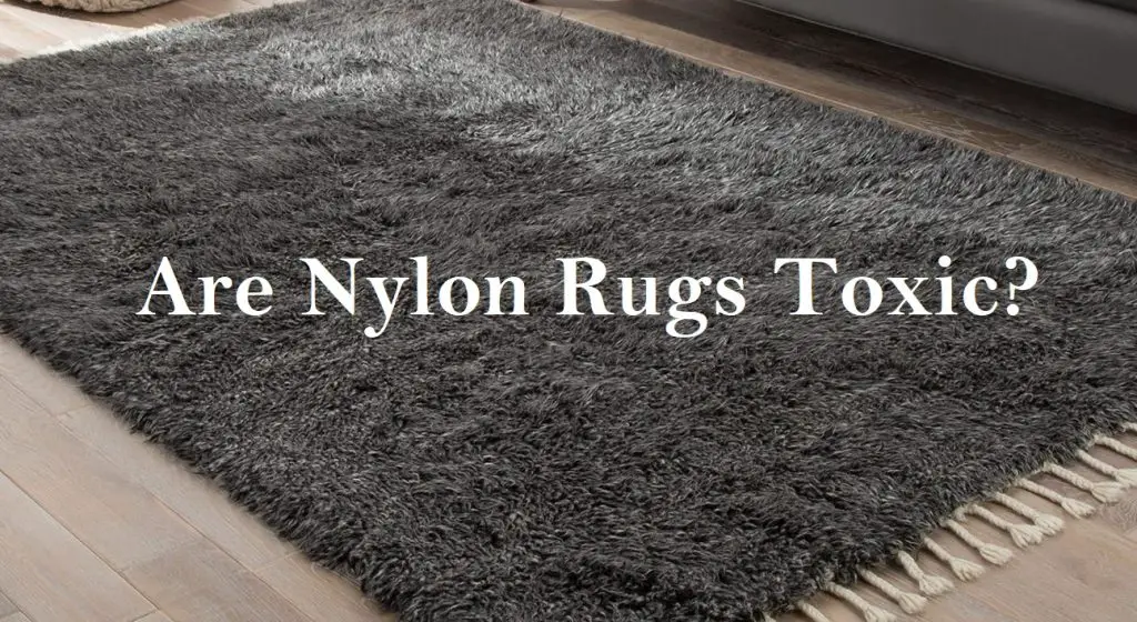 Are Nylon Rugs Toxic?