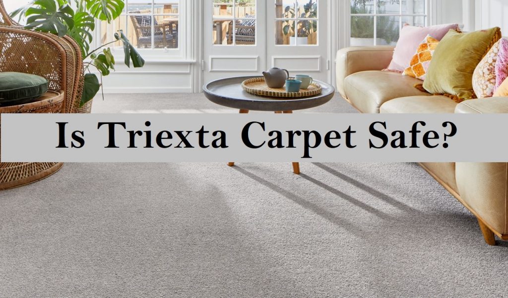 Is Triexta Carpet Safe?