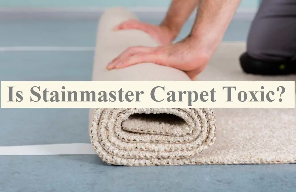Is Stainmaster Carpet Toxic?