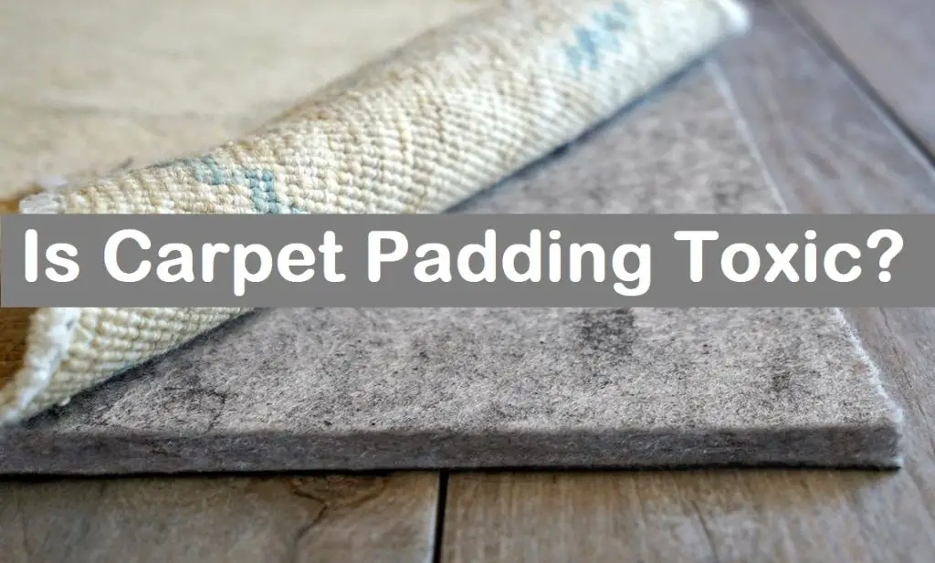 Is Carpet Padding Toxic?