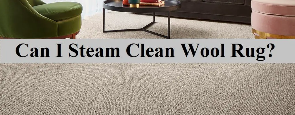 Can I Steam Clean A Wool Rug?